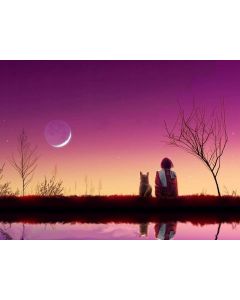 水调歌头·明月几时有